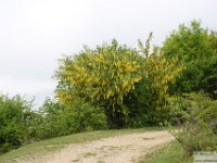 2026-05-11 Traversata dei Lucretili 039
